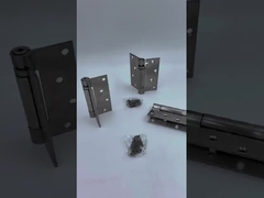 中国自閉ヒンジ 4