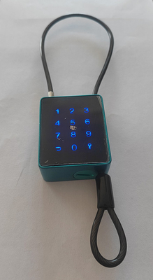 キーフリー スマート・ハンドロック 室外 4MmケーブルとAPP制御 IP65防水