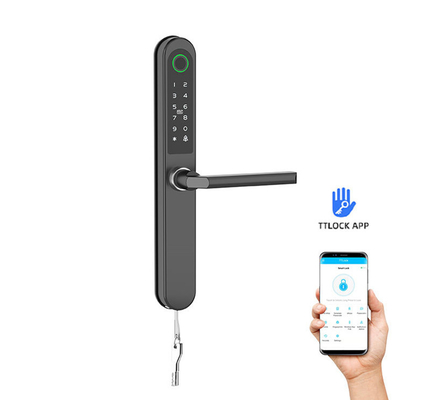 完成品 塗装された RFID ドアロック 商用 ブルーツepo_Latn WiFi スペシャルカード/コード/指紋/APP