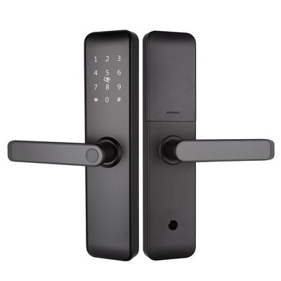 塗装されたBluetooth WiFi RFID アパートの鍵のないスマートロック ホーム 入り口 部屋のドア