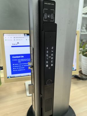 ビデオ 猫の目 パーム静脈 / フェイス ワイファイ スマートロック アルミ IP65