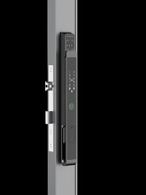 アルミニウム 商用 スマートロック 顔認識 ビデオ 猫目 パーム静脈 解錠 IP65